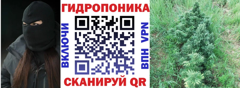 Купить где  Шацк  Шишки марихуана семена 